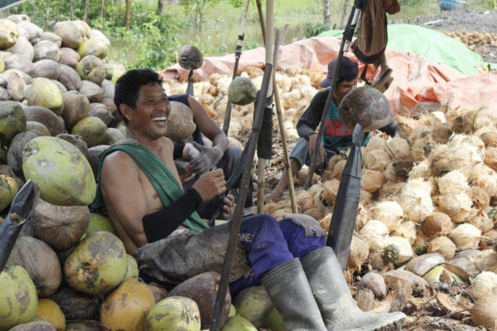 daging kelapa Cirebon